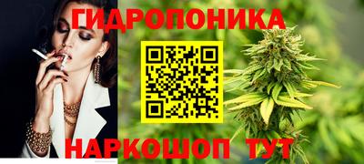 Альфа ПВП Можга